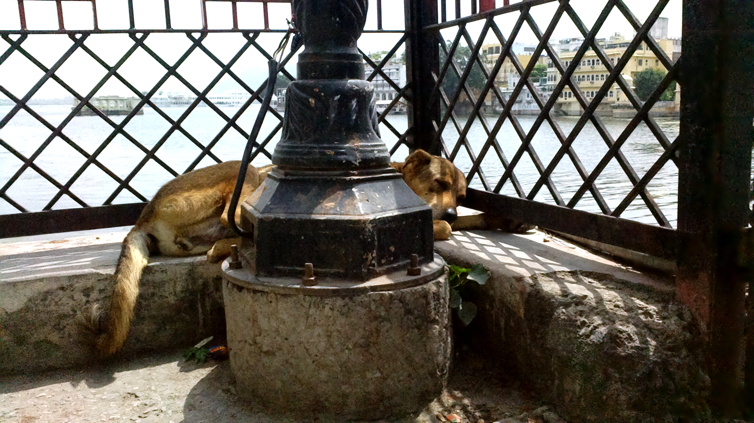 Hora de la siesta